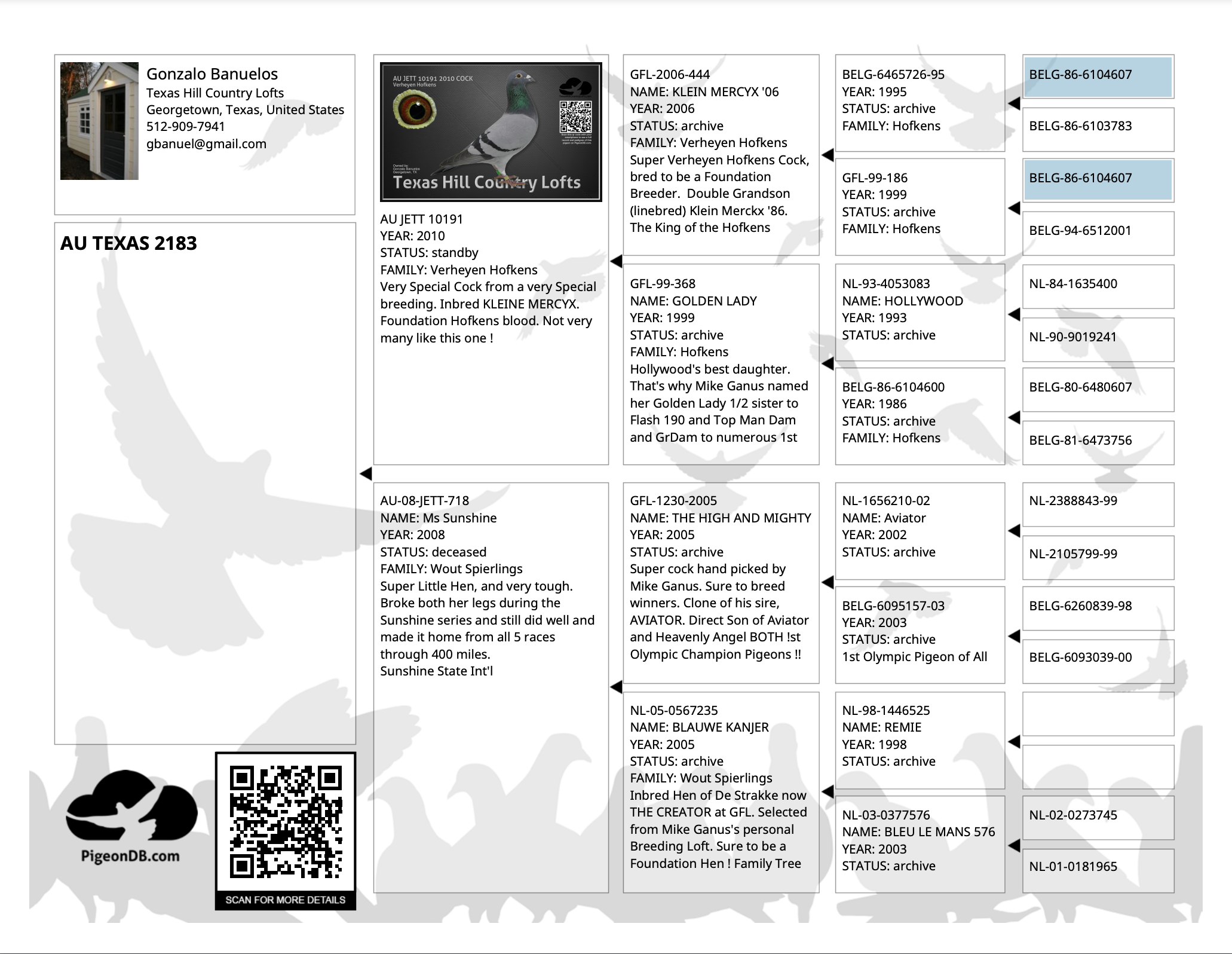 Equine Pedigree Query - jgbjt2c